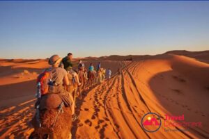 camel ride Morocco Escorted Tour Travel Department JWT Travel