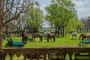 Anniversary of Admiral Brown's birth - El Ombú de Areco - JWT TRAVEL