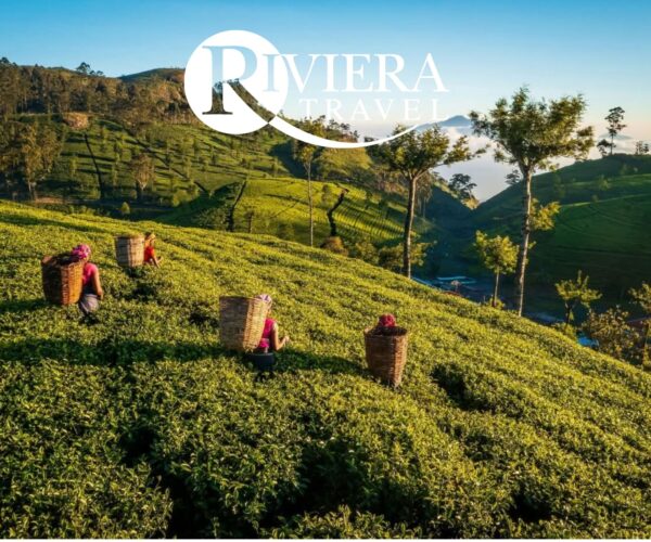 RIVIERA TRAVEL - Highlights of Sri Lanka Escorted Tour - JWT Escorted Tour